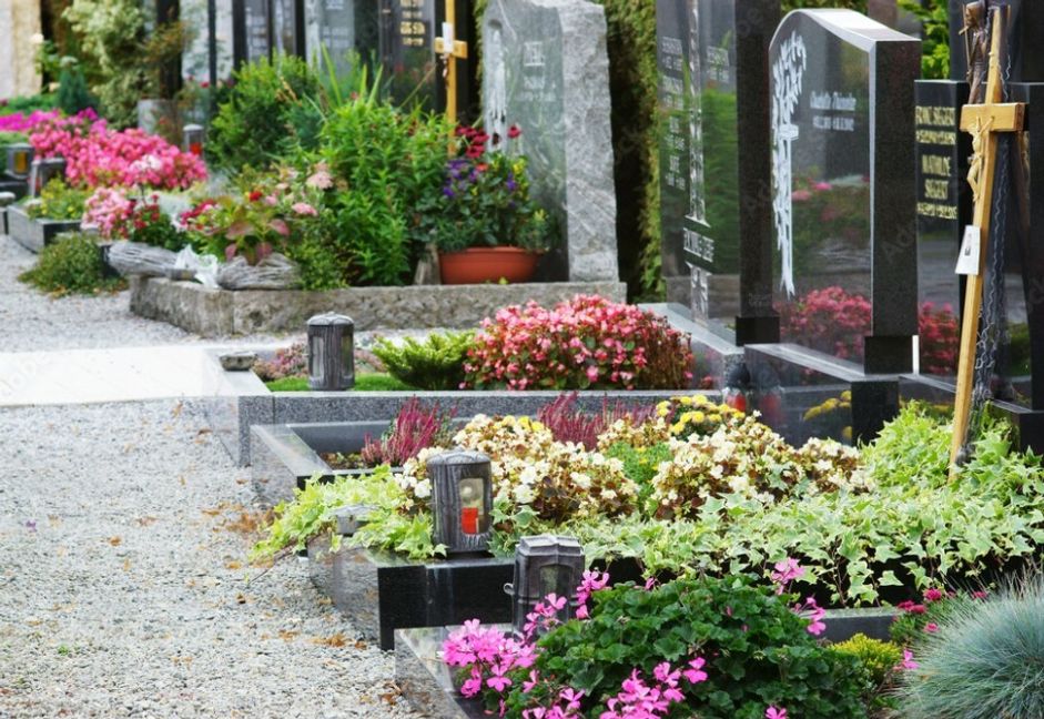 Symbolbild: Johanna Mühlbauer / Adobe Stock