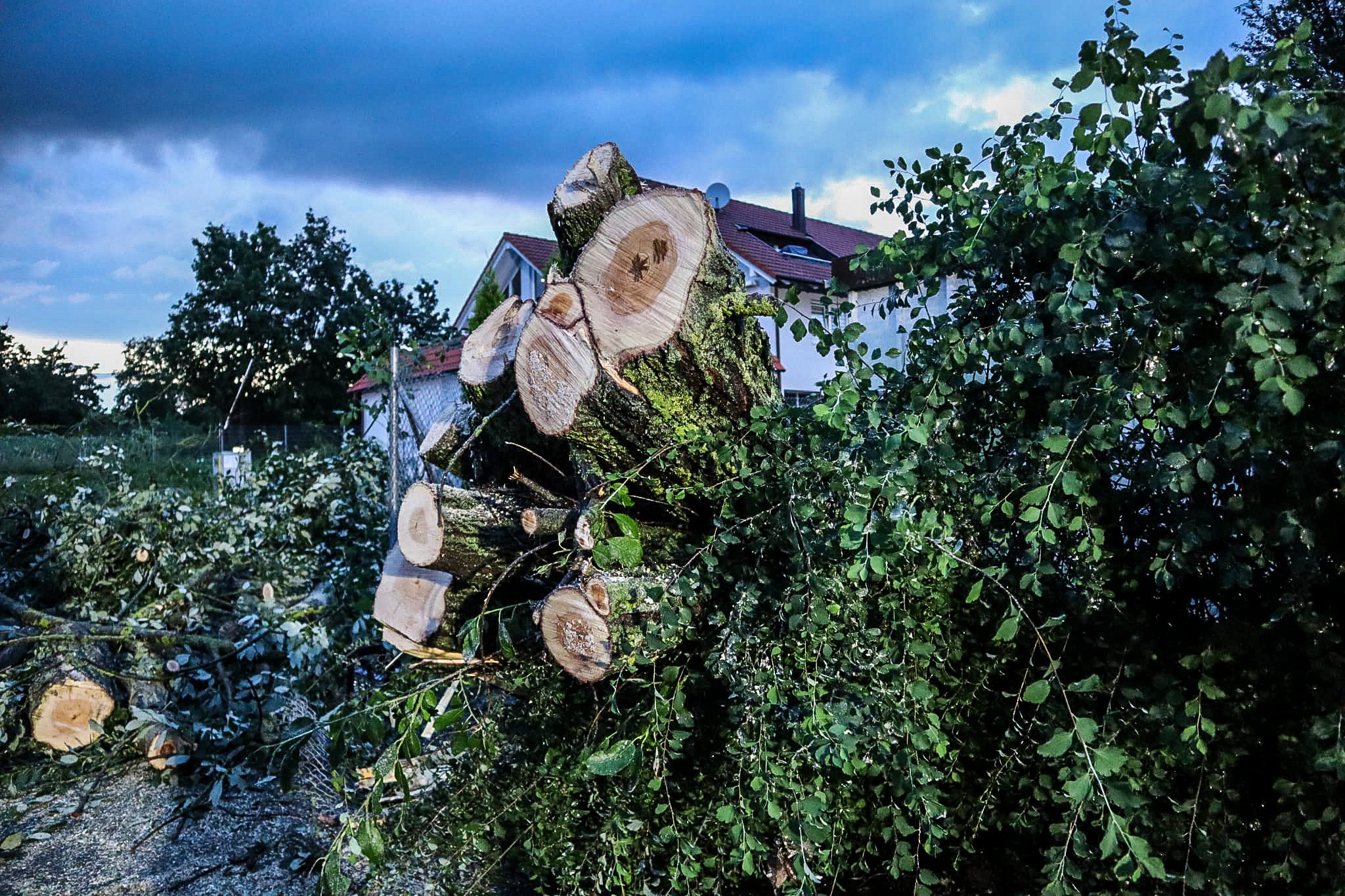 Die Feuerwehr hatte am Montagabend rund um Herrenberg viel Arbeit. Bild: SDMG/Dettenmeyer