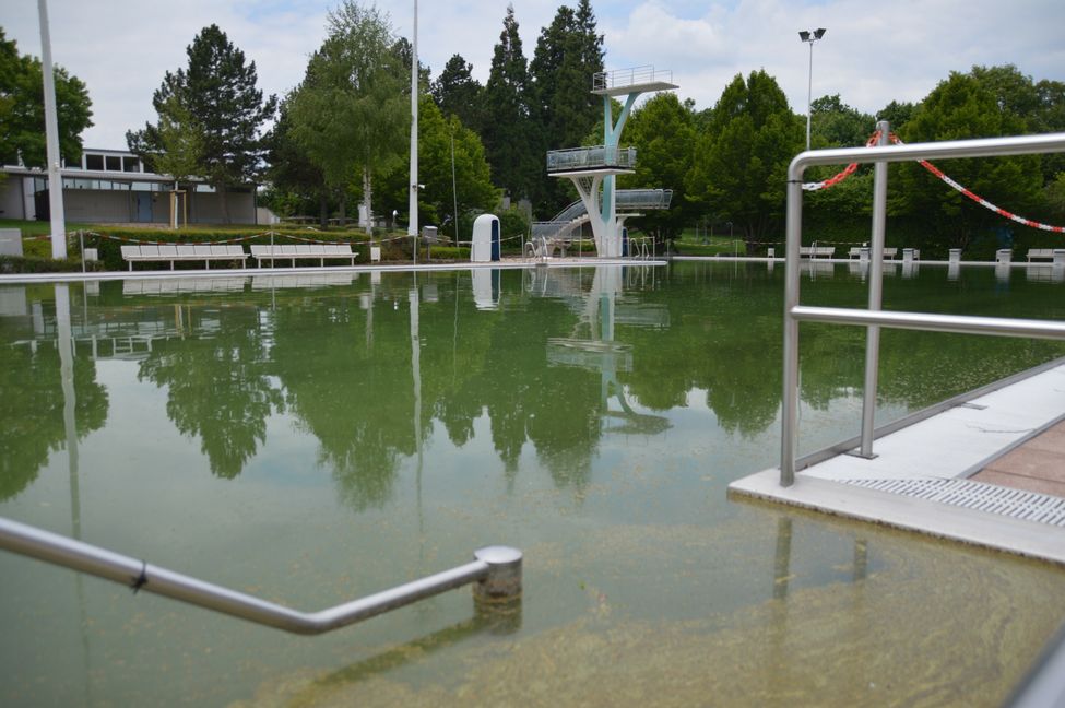 DasBöblingerFreibadistderzeiteinTraumfürEntenundGänse.Bild:Wegner
