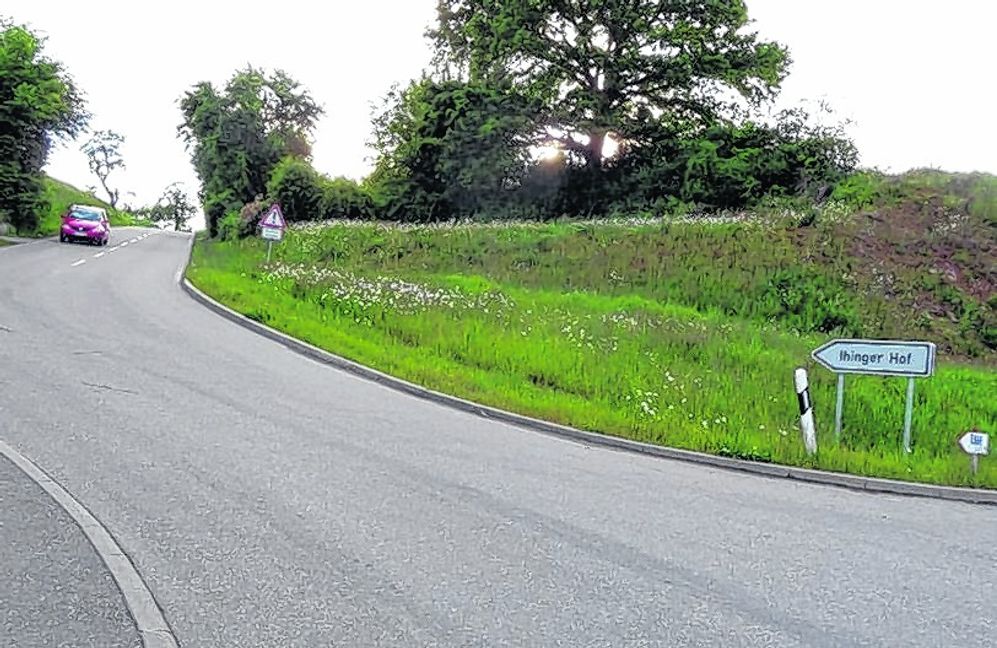 Der erste Eindruck täuscht: Die Ihinger Straße (Kreisstraße 1006) ist nur am Anfang aus Richtung Magstadt in einem guten Zustand. Bild: Reichert