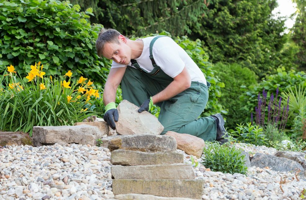 Das Interesse an schön gestaltetem Grün rund ums Haus steigt weiter.