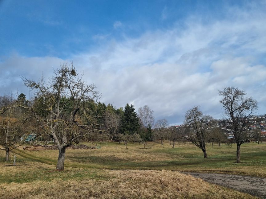 Der Bereich Schillerhöhe (links) soll legale Montainbike-Strecken erhalten. Die Stzadt Holzgerlingen startet dazu einen Bürgerbeteiligungsprozess. Bild: Hamann