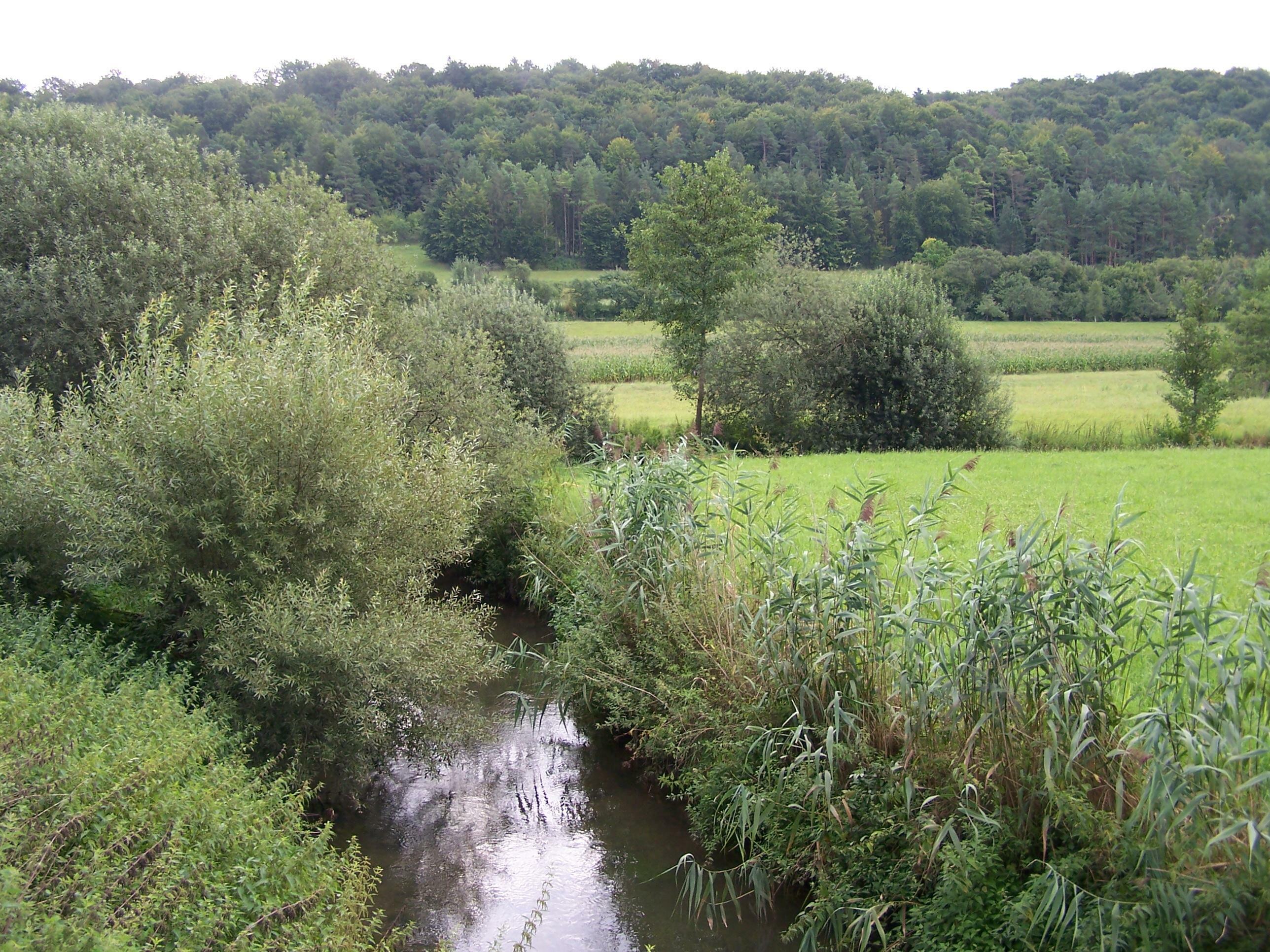Ab 1. Juni und bis Ende September ist im Kreis Böblingen nicht erlaubt, Wasser aus Bächen und Flüssen zur Bewässerung von gärtnerischen oder landwirtschaftlichen Flächen zu entnehmen. Unser Archivbild zeigt die Würm. Bild: Reichert/A