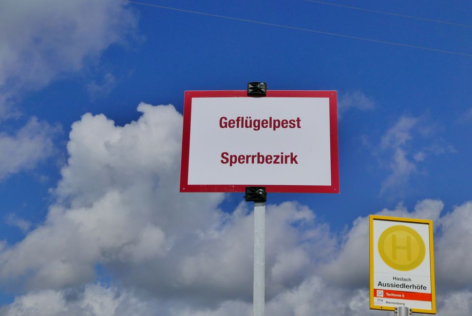 Noch keine Entwarnung: Innerhalb des Sperrbezirks muss geflügel noch im Stall gehalten werden.