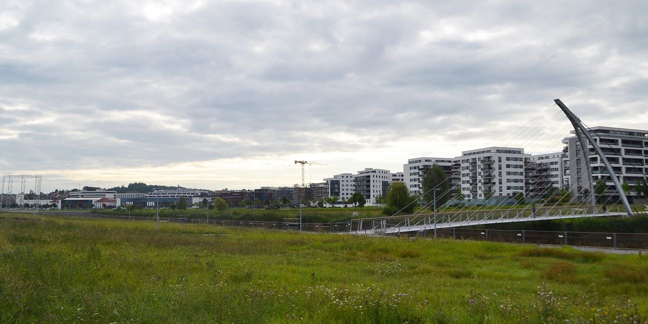 Auf der grünen Wiese bei der Harfenbrücke sollen im kommenden Jahr die Bagger anrücken: Hier entstehen 160 Wohnungen, Büros und Gastronomie. Bild: Hamann