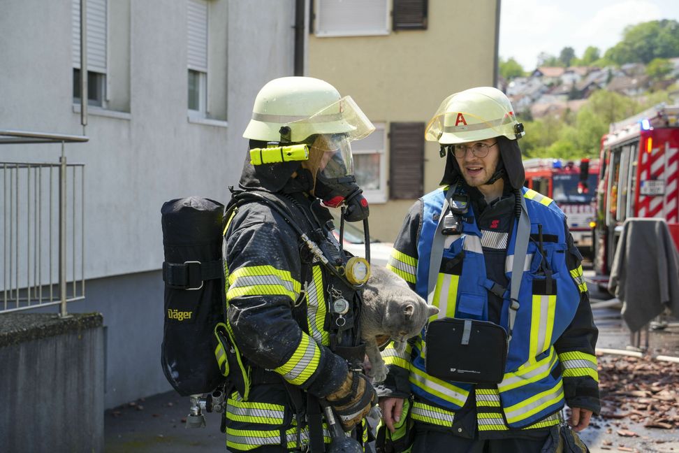 Bild: SDMG/Dettenmeyer