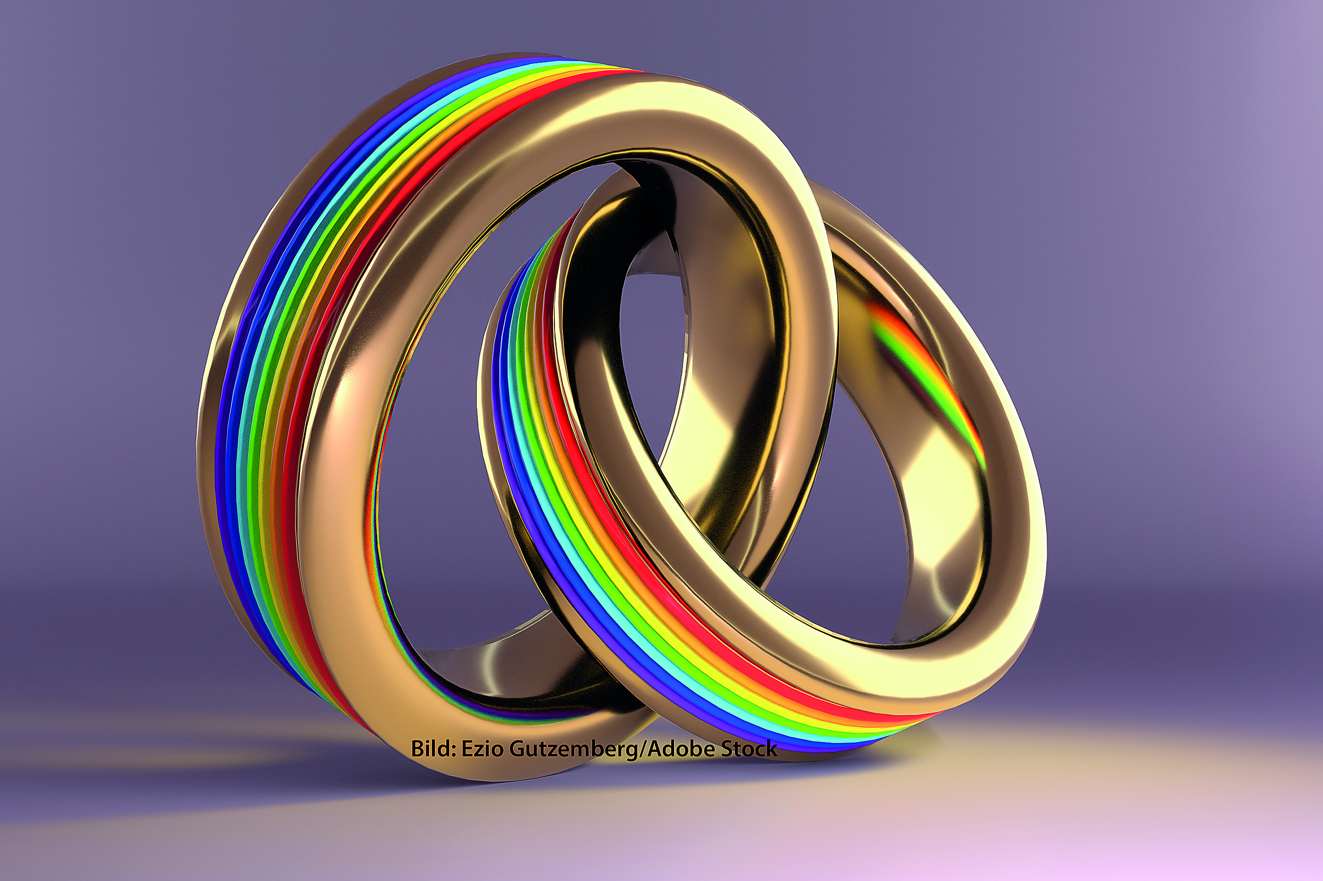 3d illustration, Wedding Rings symbolizing the same sex marriage