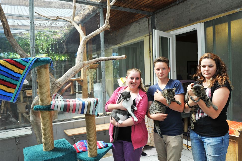 Michaela Schlienz, Miguel Gonzalez und Nadine Holfinger (von links) beim täglichen Schmusen mit den Katzen. Bild: Stampe