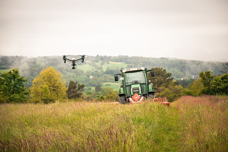 Ohne Drohne ist das Rehkitz fast nicht zu erkennen. Bild: z