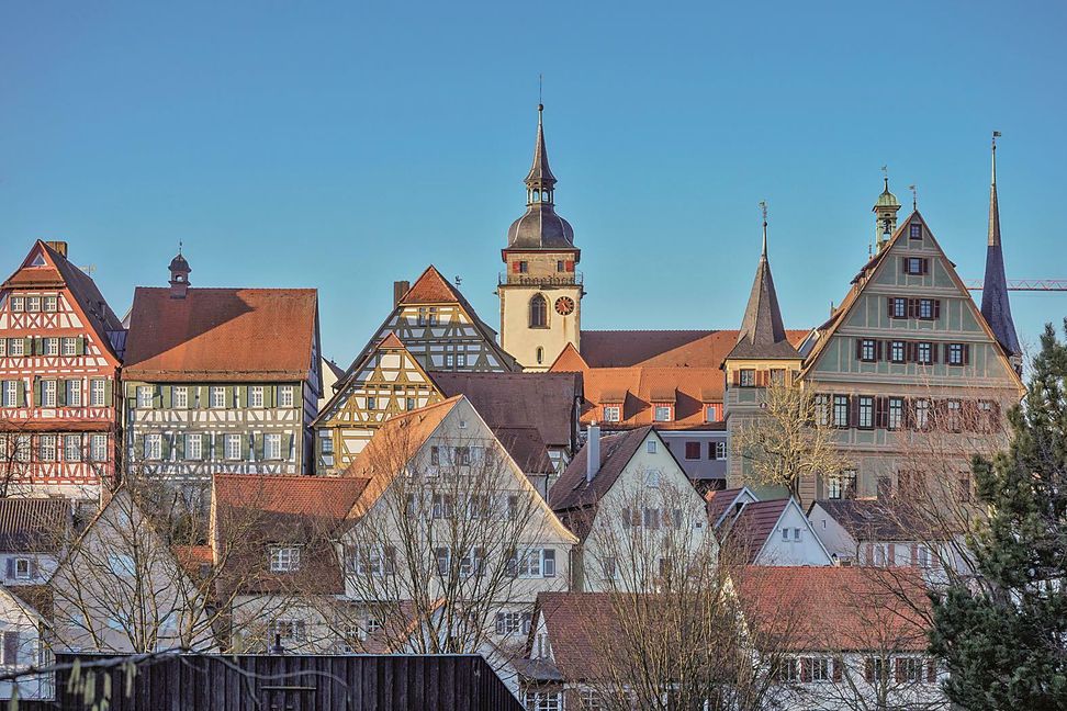Bild: Adobe Stock / Manuel_Schoenfeld