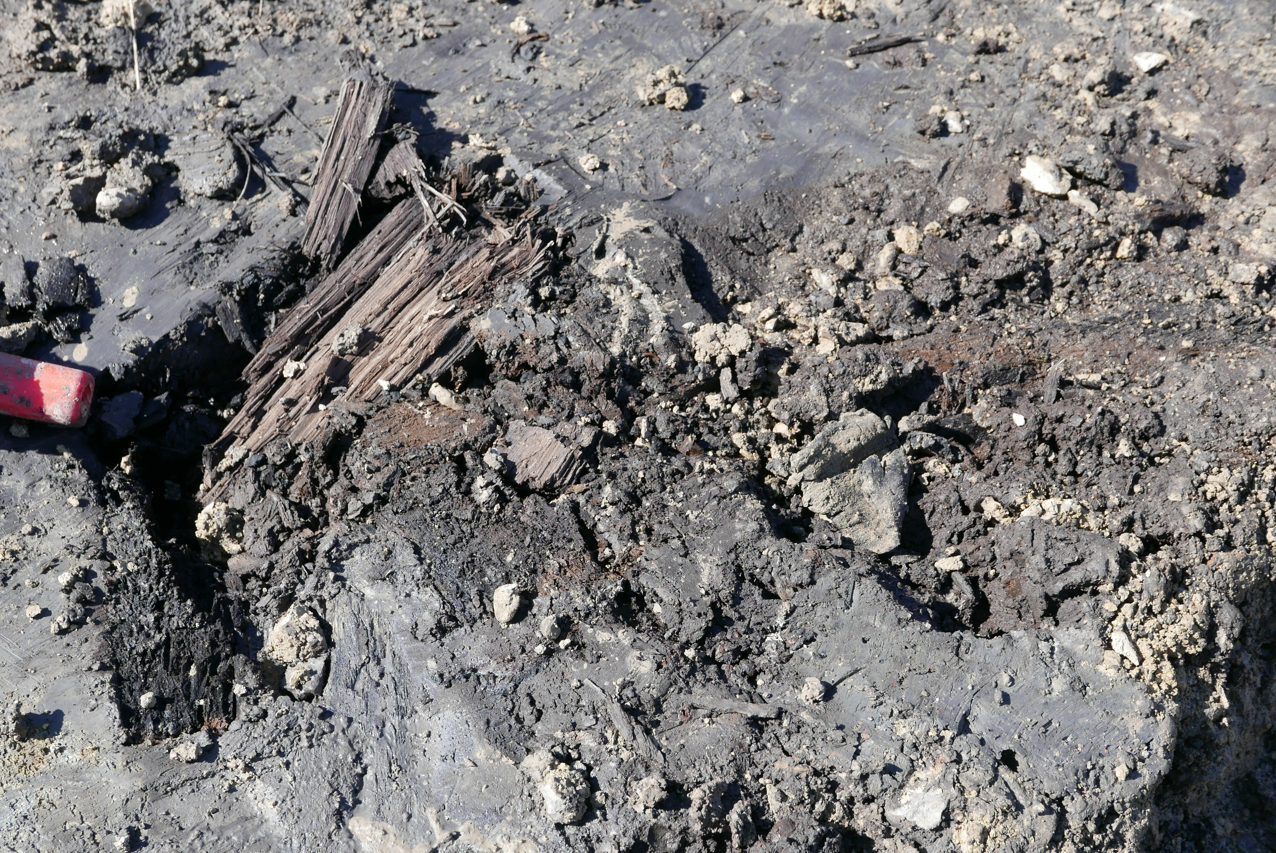 Ein Pfosten aus einem römischen Keller - geschlagen wohl vor rund 1800 Jahren.