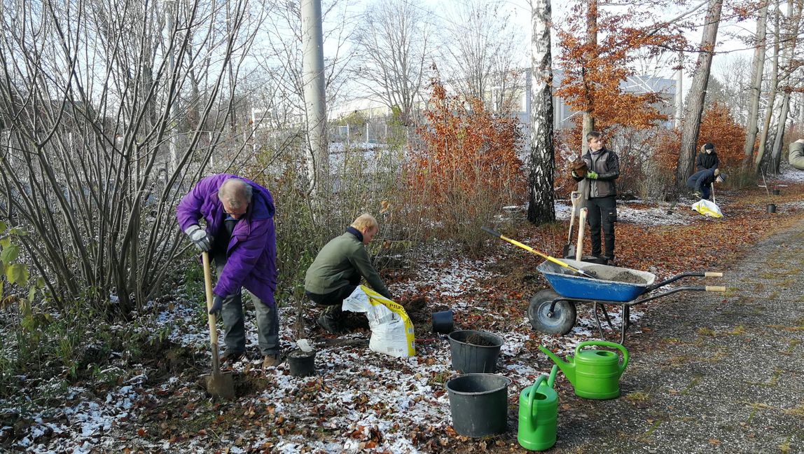 Gemeinsam arbeiten die Schülerinnen und Schüler und die Profis von der Gartenbaufirma am grünen Klassenzimmer. Bild: z