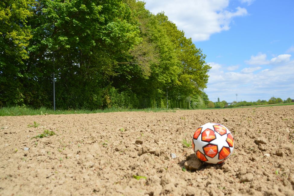 Auf diesem Acker soll es bal feine Doppelpässe geben. Der Ball liegt ziemlich genau dort, wo nächstes Jahr die Eckfahne steht. Im Hintergrund ist der Glaspalast zu erahnen. Die Bäume links verdecken die Tribüne des Allmendstadions.Bild: Wegner