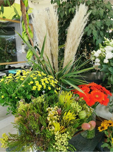 Am Donnerstag werden in der Böblinger Straße in Aidlingen zum letzten Mal Blumen und Pflanzen verkauft. Bild: Richter