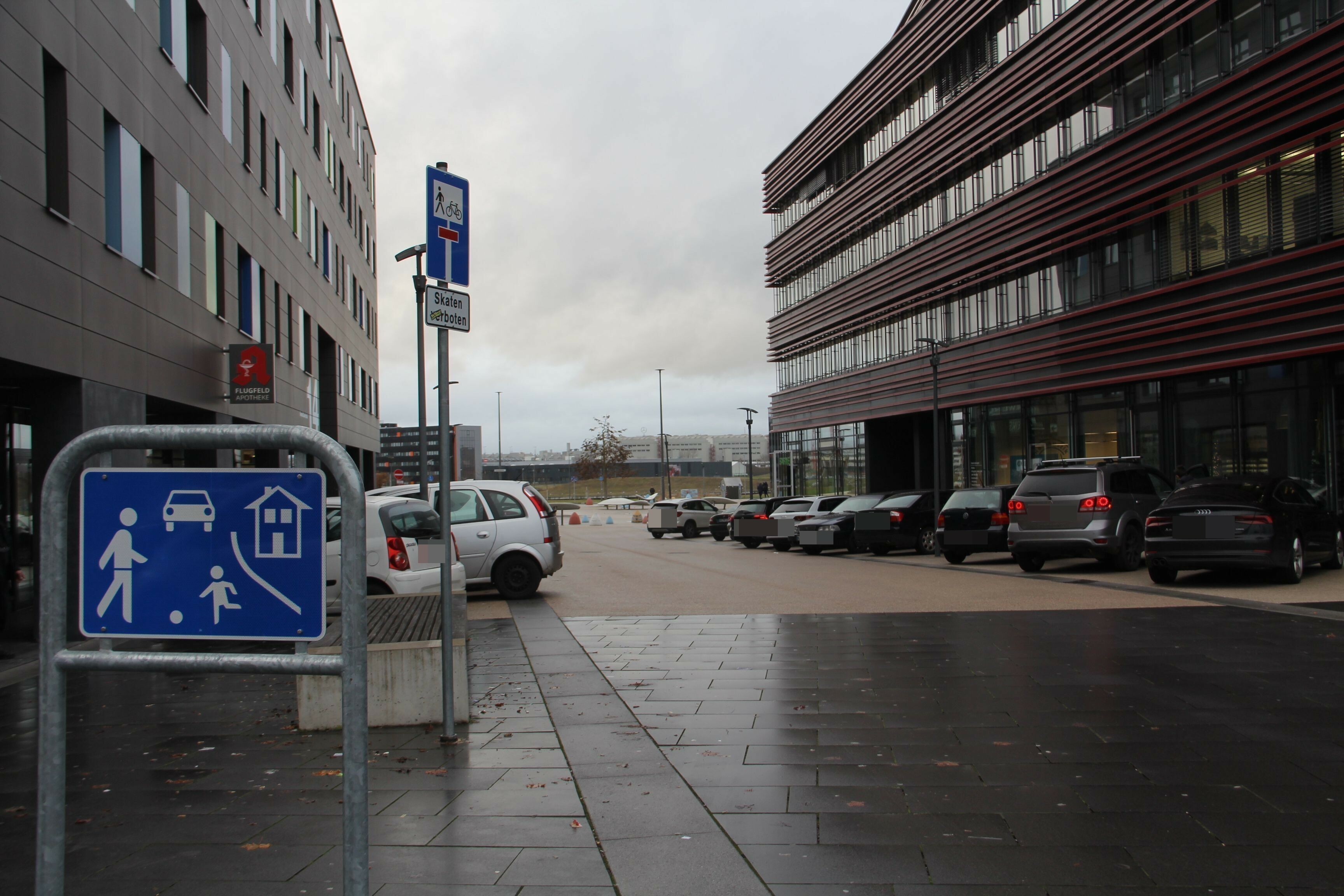 flugfeld