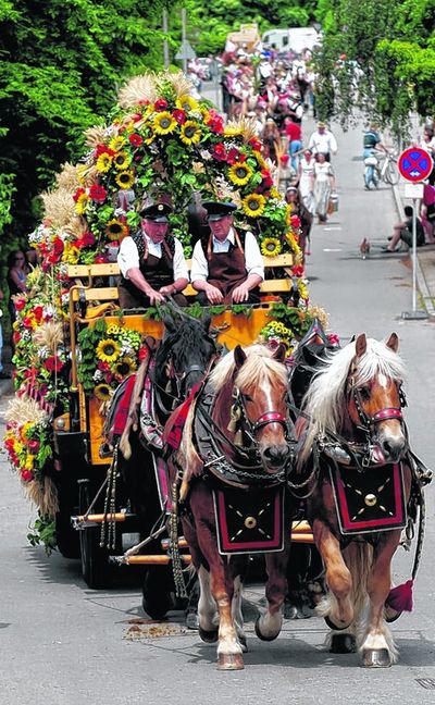 Der Maichinger Rosstag wird in diesem Jahr Teil des Super-Sonntags und führt durch die Innenstadt. Bild: Stampe/A