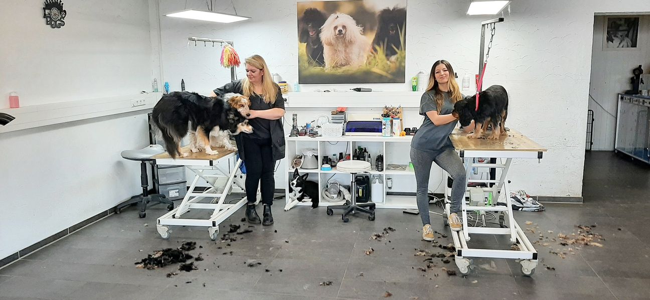 Kathrin Brox (links) mit ihren Hunden Leila und Stalker und Praktikantin Loren Odell. Bild: Elbers