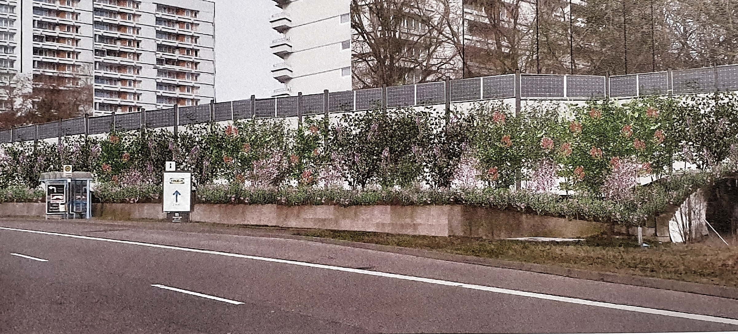So in etwa soll die neue Lärmschutzwand an der Mahdentalstraße und Ernst-Barlach-Straße aussehen.       Grafik: z