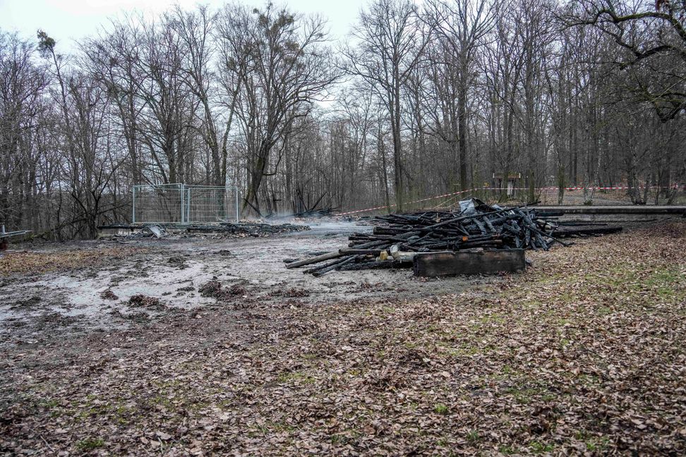 In der Nacht zum Mittwoch, 31. Januar, wurde die Blockhütte beim Sportgelände an den Buchen in Magstadt ein Raub der Flammen. Bild: Dettenmeyer