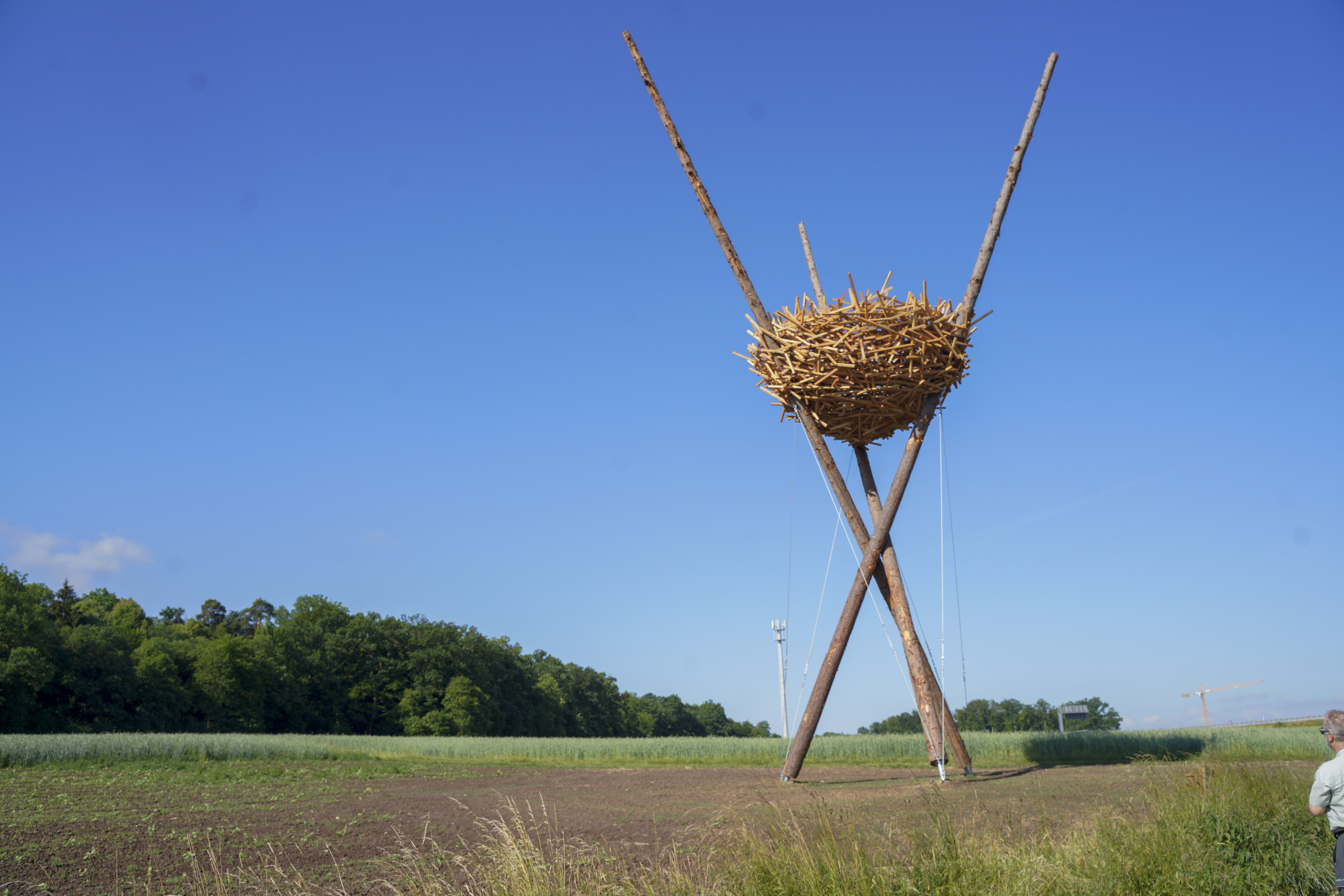 Das Vogelnest im Maurener Tal steht wieder. Bild: Dettenmeyer