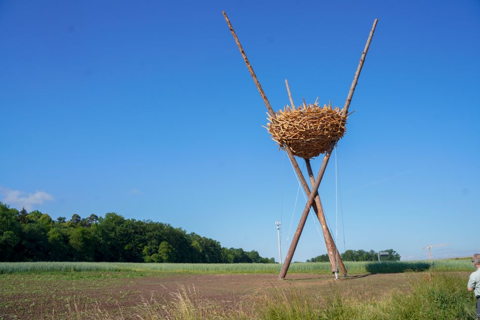 Das Vogelnest im Maurener Tal steht wieder. Bild: Dettenmeyer