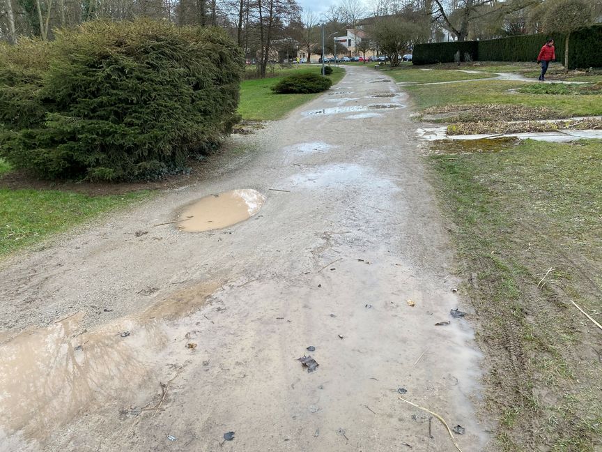 Bei Regen bilden sich im Sommerhofenpark unzählige Pfützen. Bild: Ferro