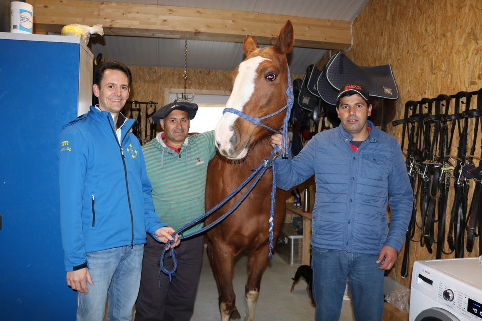 Gruppenbild mit Dame: Polo-Spieler Jochen Stargardt (links) und die beiden argentinischen Polo-Trainer Osvaldo und Franco (rechts) nehmen die Stute Jade in ihre Mitte.