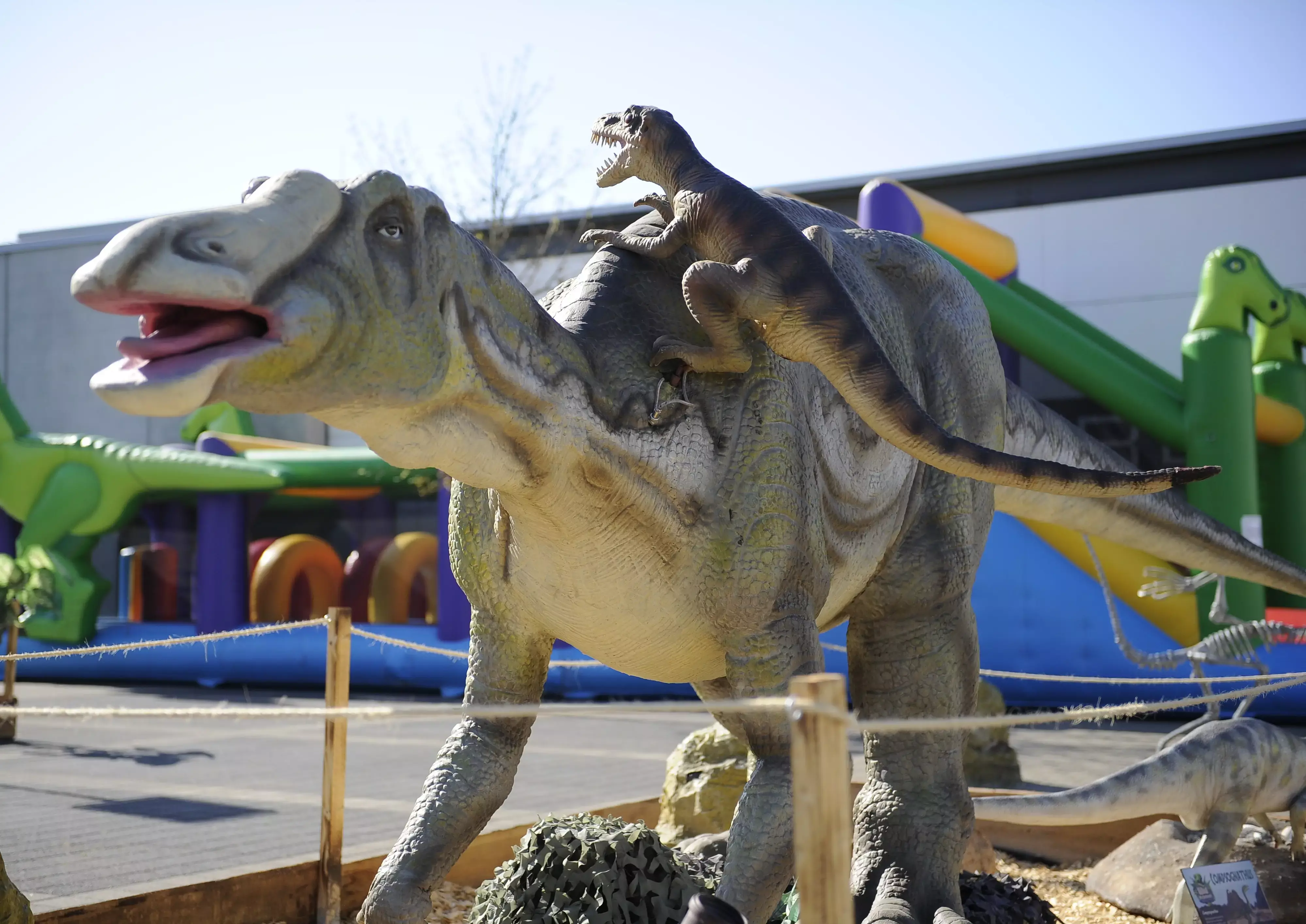 Noch bis zum 11. Juni ist die Dinosaurier-Schau bei Möbel Hofmeister in Sindelfingen zu sehen.  Bild: z