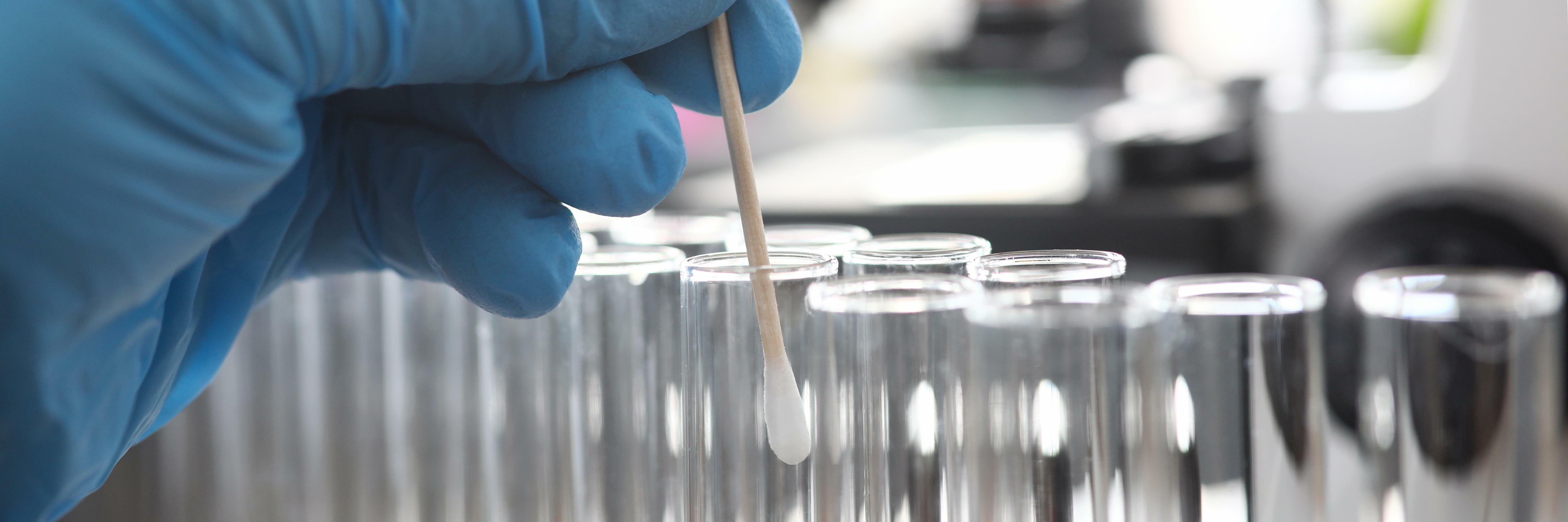 Scientist wearing protective gloves examining dna samples holding cotton stick close-up