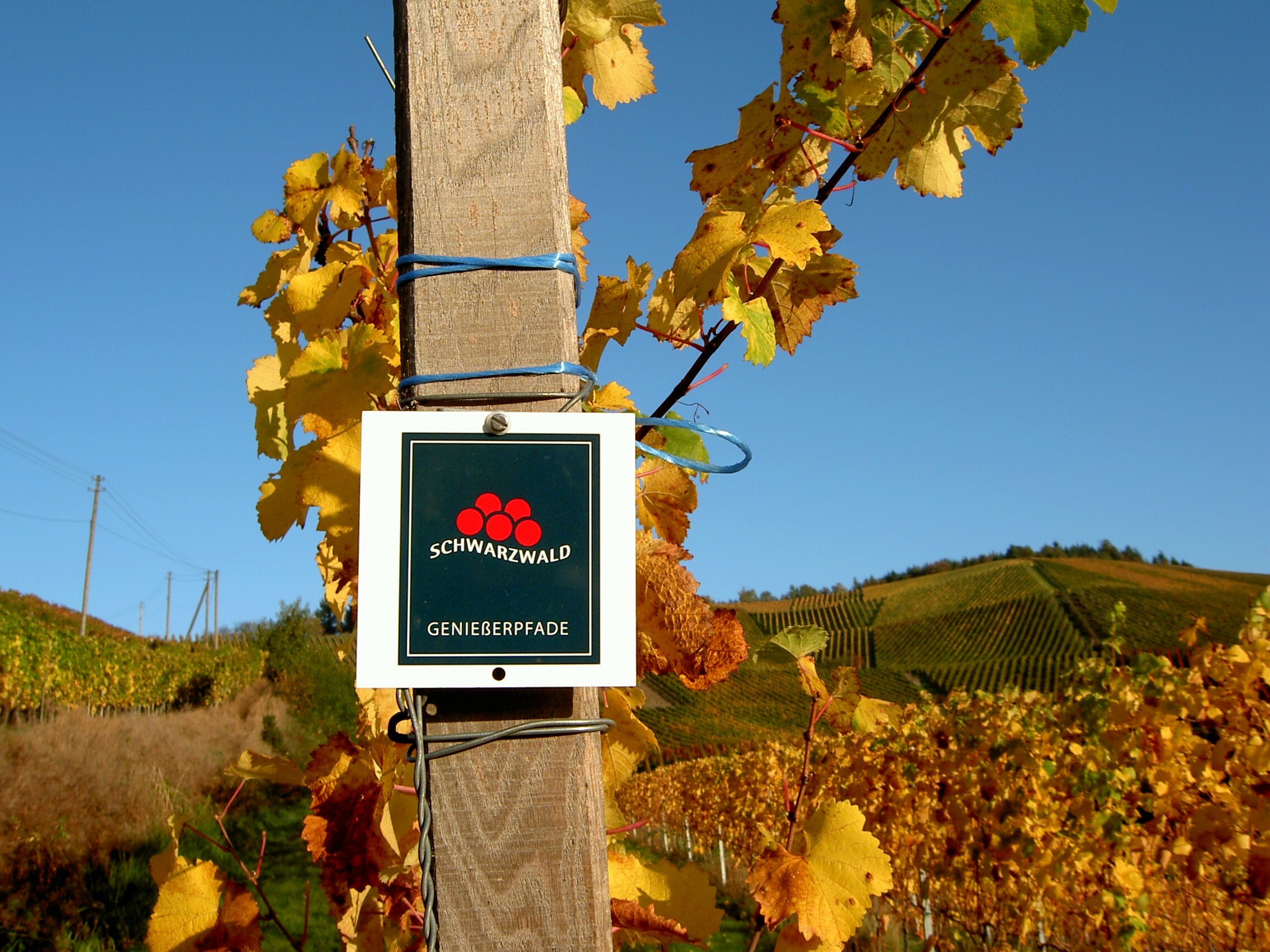 Schwarzwälder Genießerpfade. 
          Bild: Karcher / Schwarzwald Tourismus