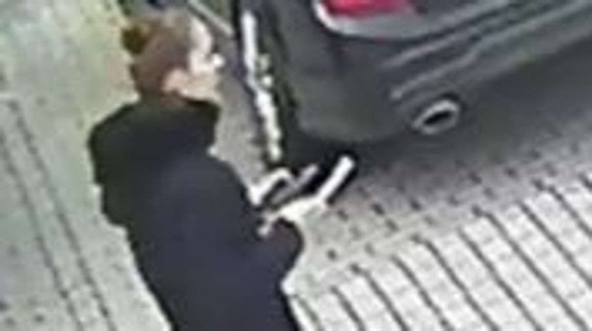 Mit diesem Foto fahndet die Polizei nach der Verdächtigen. Bild: Polizei