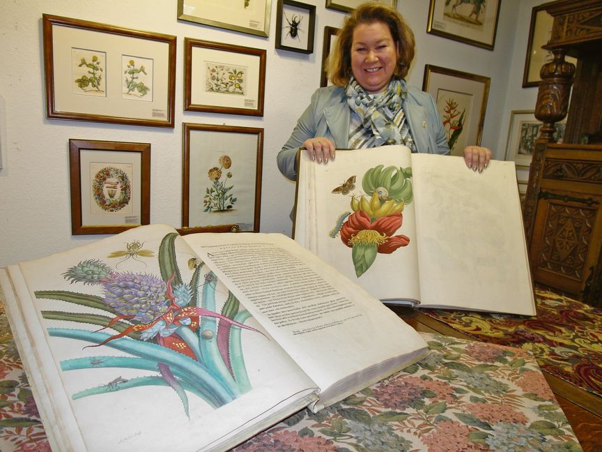 Birgit Strehler hat sich mit dem Sindelfinger "Kunstkabinett Strehler" auf die Künstlerin und Botanikerin Maria Sibylla Merian spezialisiert. Bild: Staber