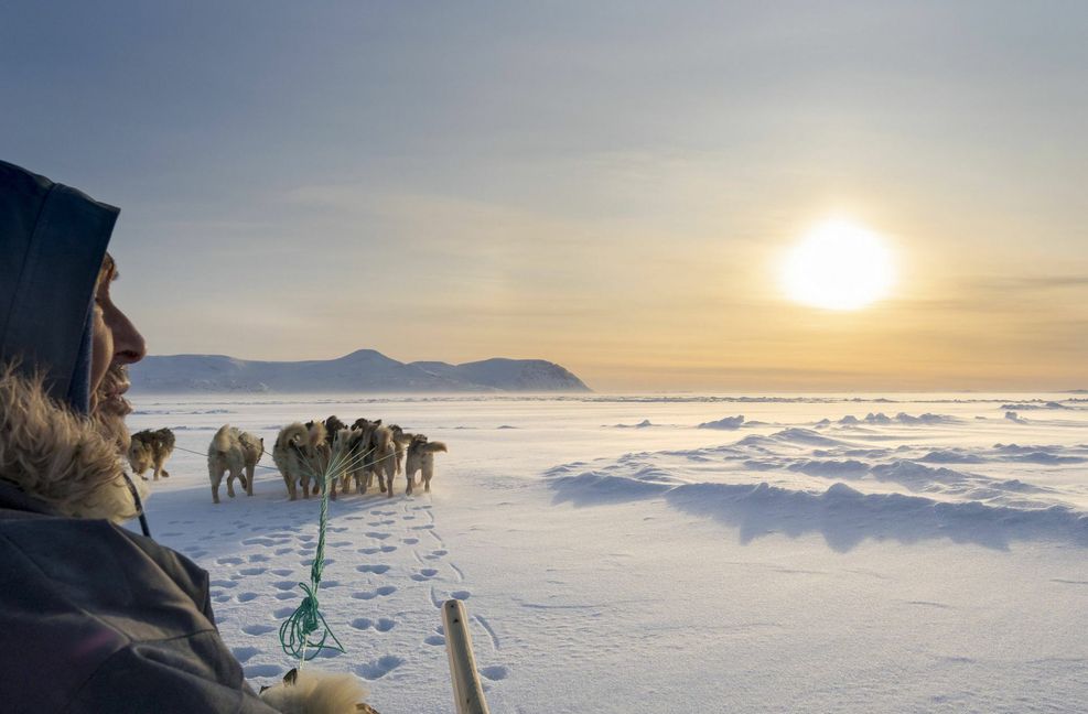 Mann und Schlittengespann: Das Überleben ohne Hunde war auf Grönland über Jahrhunderte nicht vorstellbar.