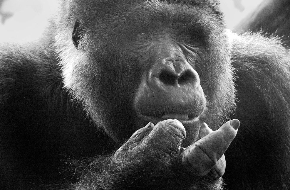 Passiv-aggressives Verhalten fängt zwischen den Zeilen an.