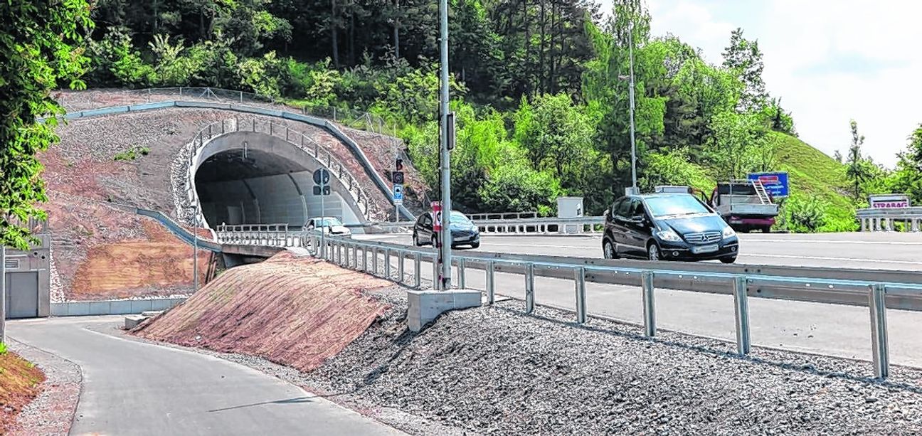Der Radweg verläuft auf Höhe des Tunnels unterhalb der Fahrbahn. Bild: Groß