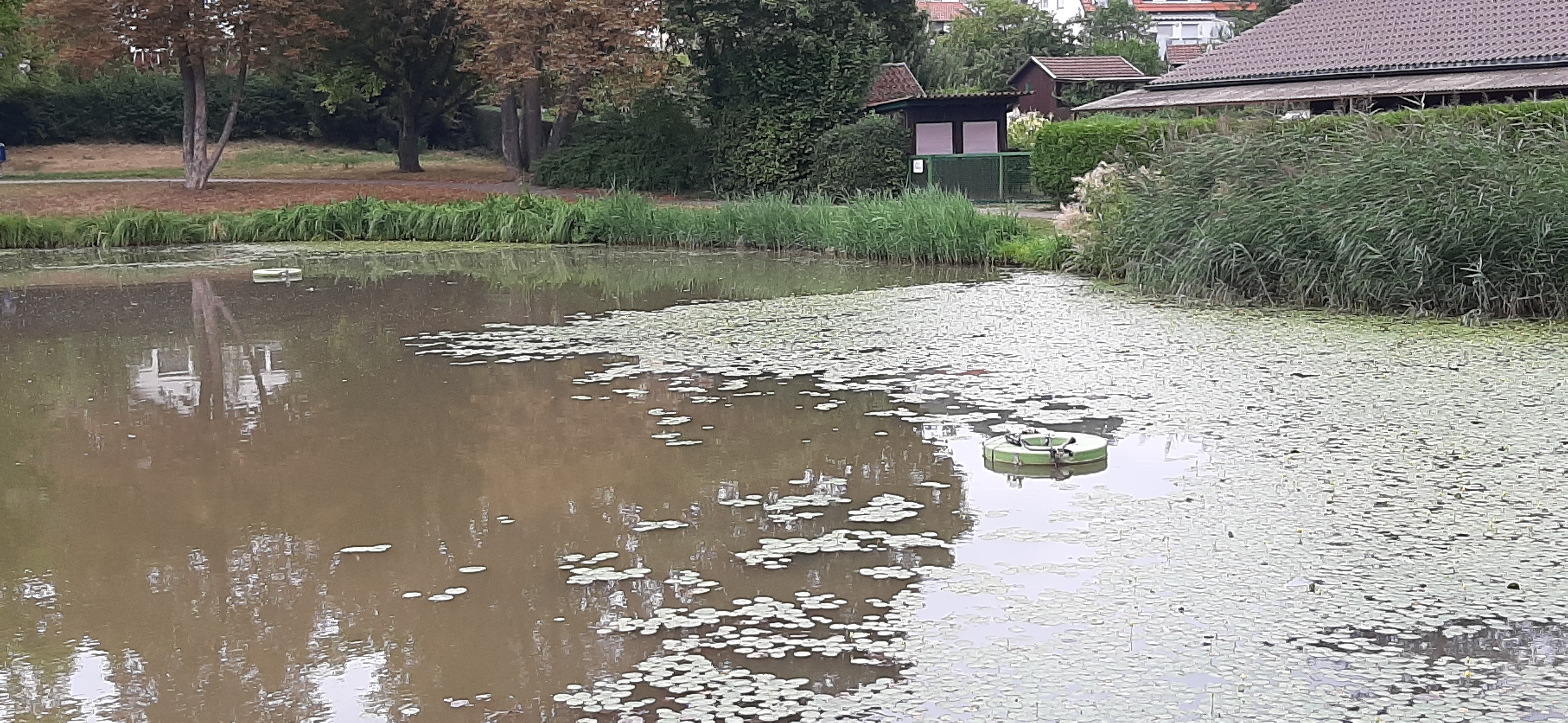 Mit Sprudlern (vorne rechts und hinten im See) wird das Wasser nachts mit Sauerstoff angereichert.     Bild: Elbers