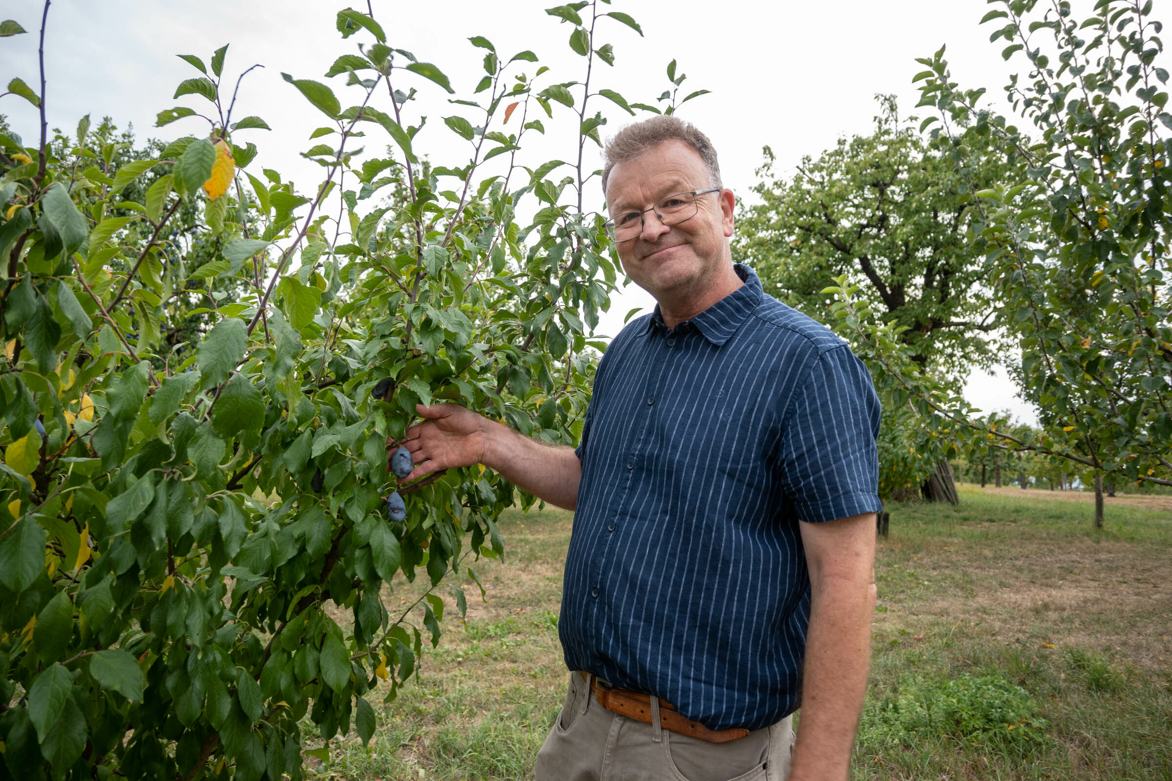 Manfred Nuber, Fachberater des Arbeitskreises der Erwerbsbauern im Landkreis, erläutert beim traditionellen Rundgang die Situation der Zwetschgenbauen.   Bild: Nüßle