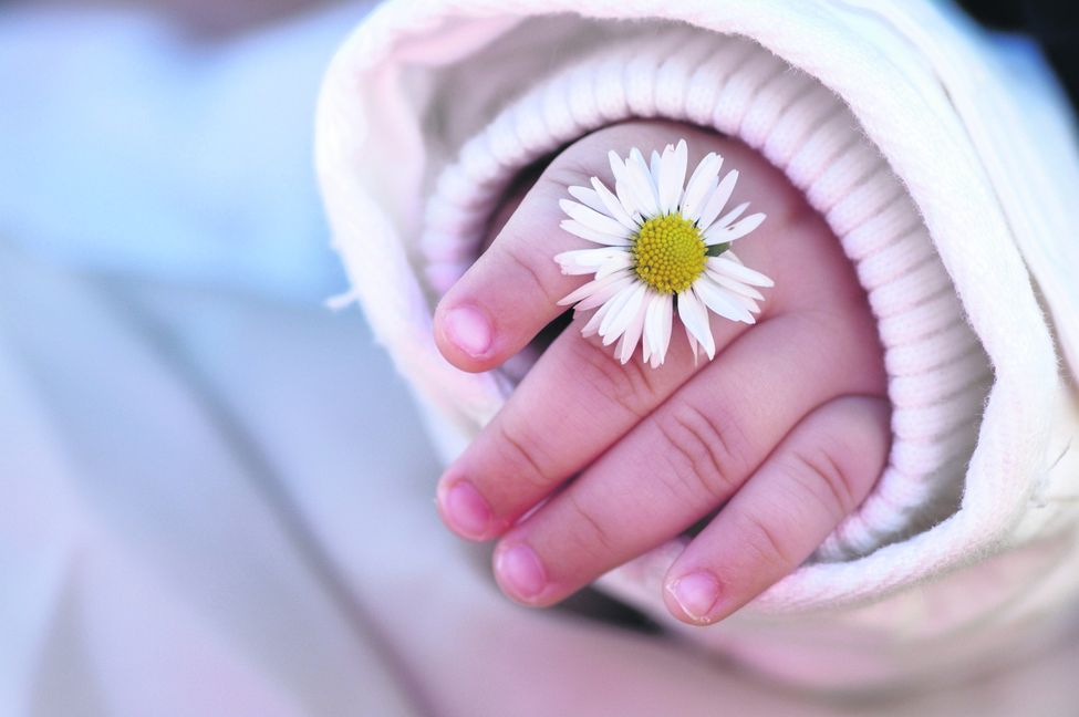 Bild: Nicole Effinger/Fotolia