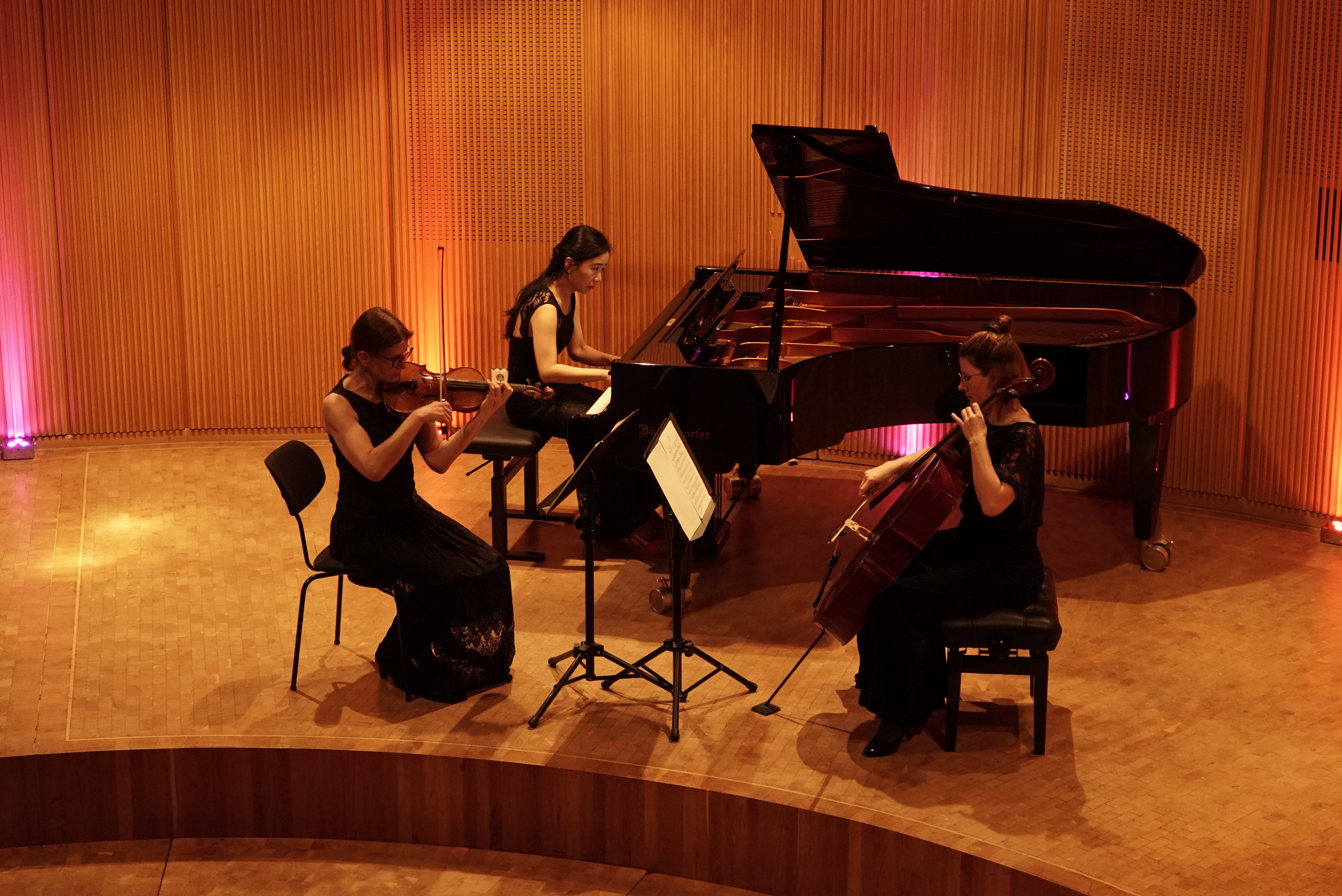 Das SMTT-Klaviertrio spielte romantische Musik im Odeon.        Bild Heiden