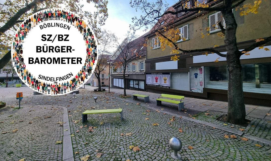 Trübt das Sindelfinger Erscheinungsbild: Leerstand und marode Häuser im Planiedreieck. Bilder: Hamann