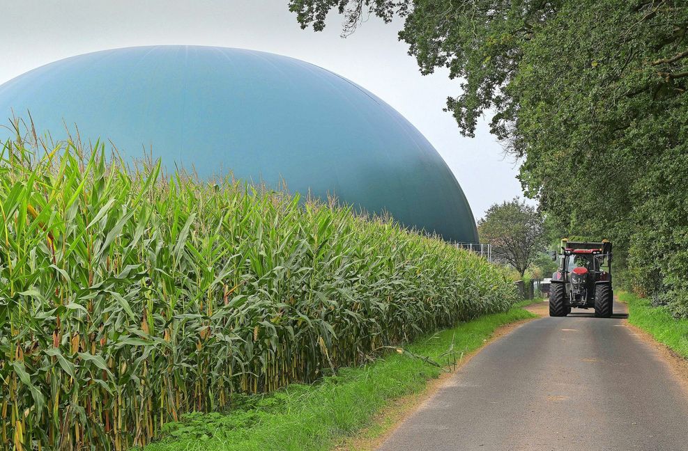Hierzulande erzeugtes Biogas kann nach Einschätzung des Bundesverbandes Bioenergie helfen, die Abhängigkeit von russischem Erdgas schneller zu überwinden.