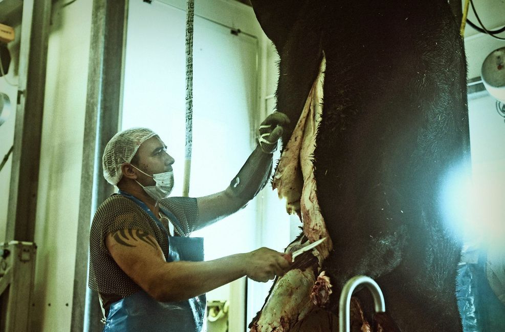 Anders als in Großbetrieben häutet man in Überlingen von Hand.