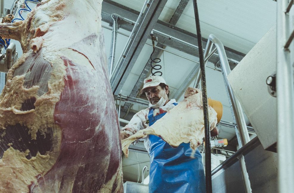 Die Felle bleiben dadurch gut erhalten und werden an eine Gerberei in Tuttlingen verkauft.