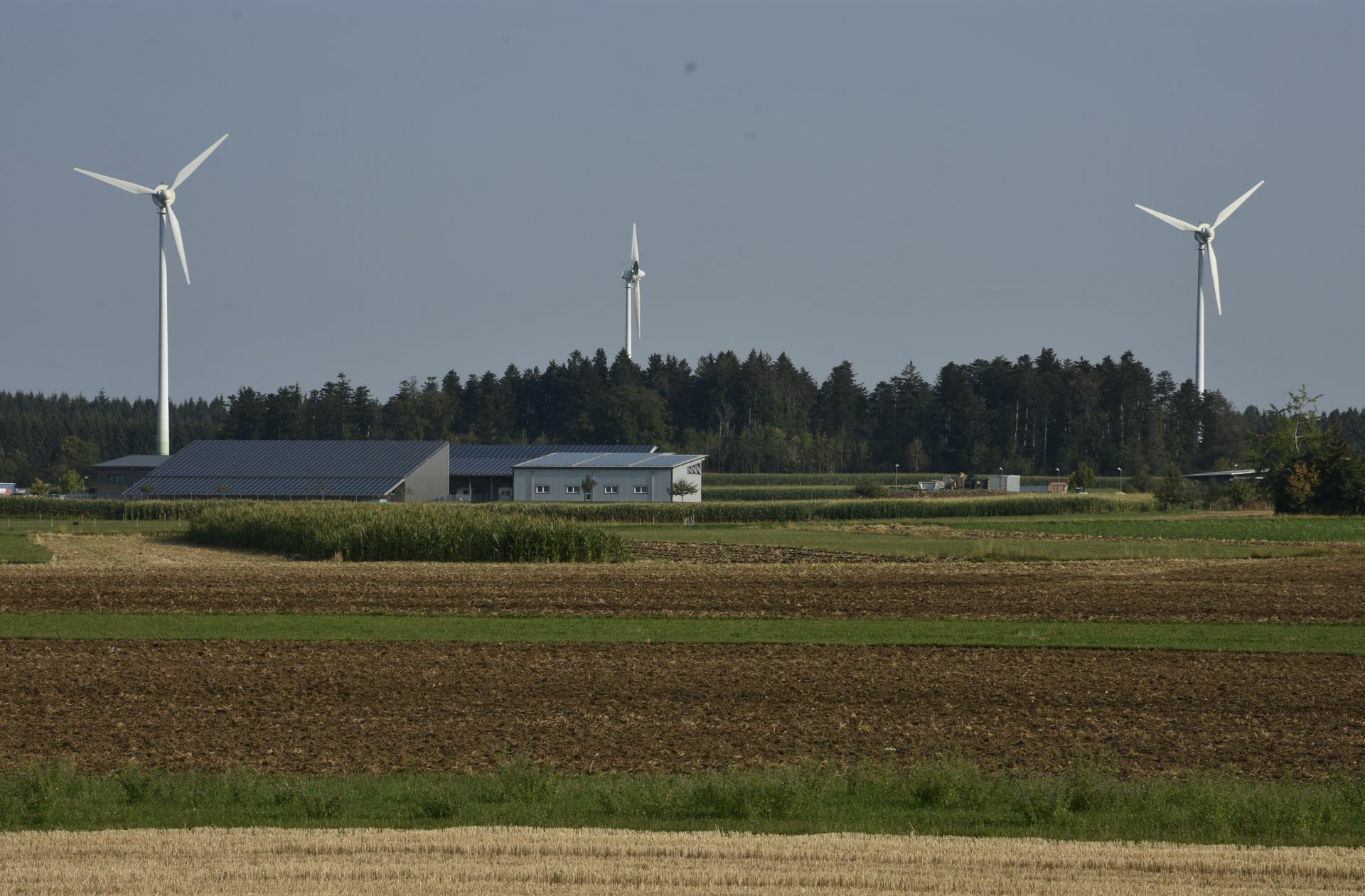 Windkraft, Solarenergie und eine Biogasanlage – so sorgt Renquishausen für mehr Strom und Wärme als nötig.