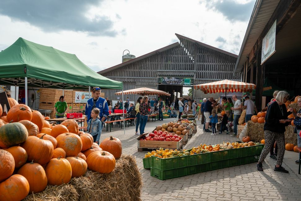 Kürbisse in rauhen Mengen: Auch das gibt es beim Hoffest  bei Bodemers in Ehningen. Bild: Nüßle
