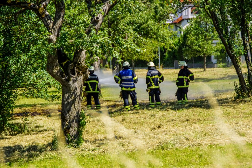 Bild: SDMG / Pohlmeyer