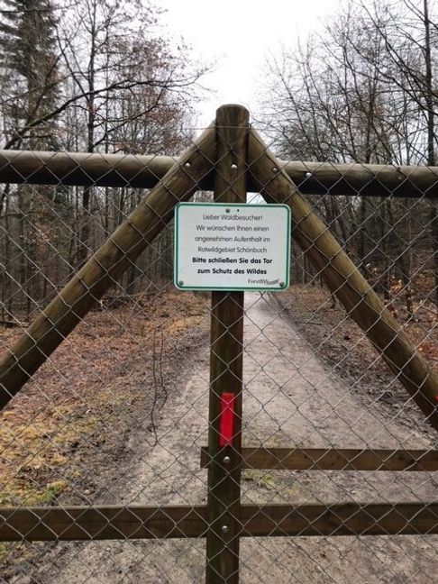 Im Naturpark Schönbuch gilt die Leinenpflicht für Hunde.