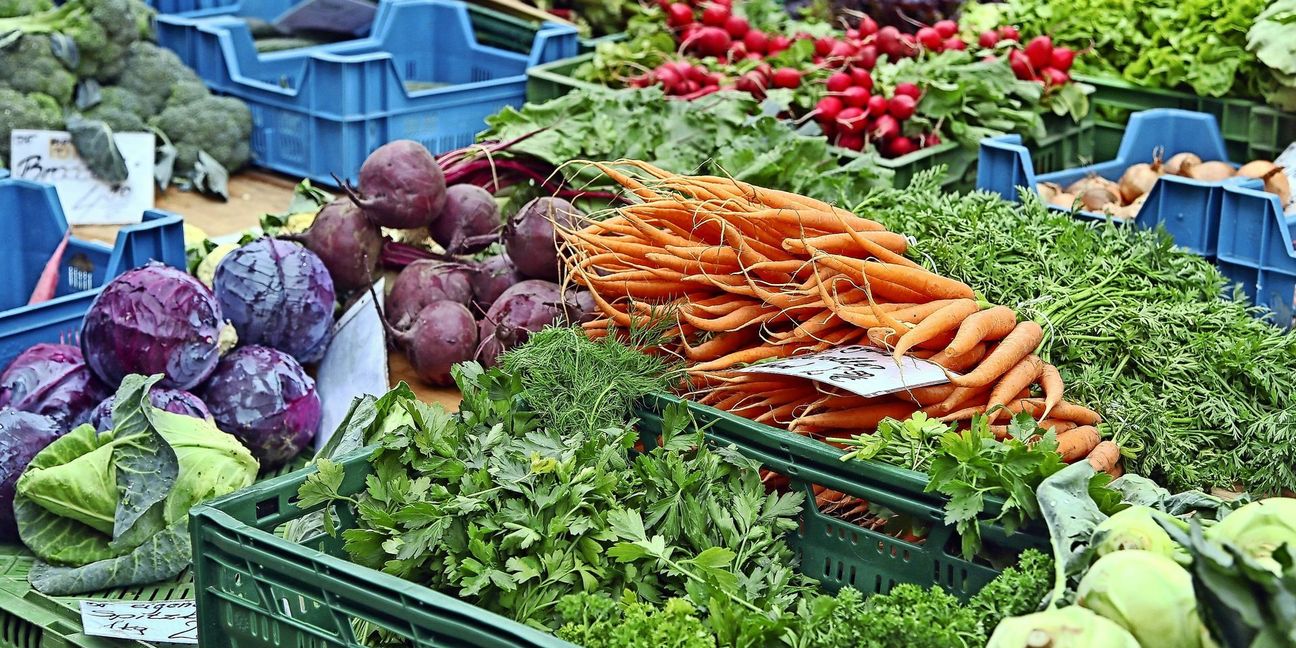 Nahrungsmittel kosteten im Februar durchschnittlich 1,4 Prozent mehr als vor einem Jahr. Foto: Avanti/Ralf Poller