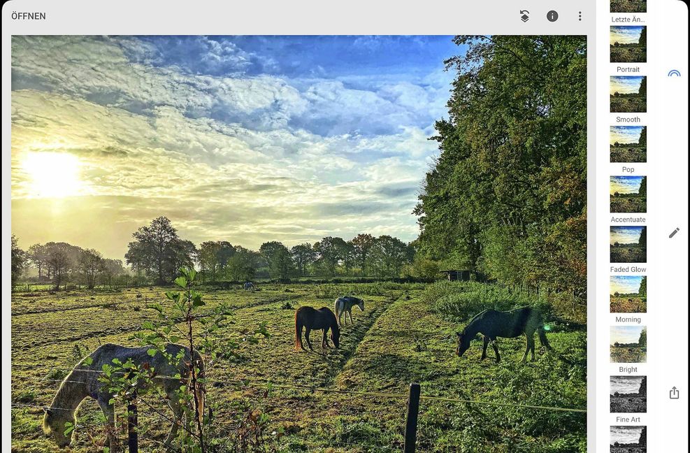 Handyfotos lassen sich direkt auf dem iPhone bearbeiten. Foto: /Steffen Haubner