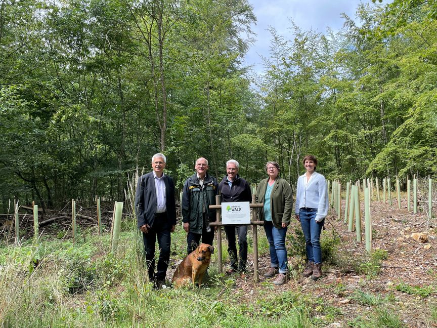 Auf dem Foto von links: Jens Häußler, Bürgermeister Gechingen,  Jürgen Martinek, Revierleiter Jochen Stoll, Bürgermeister Simmersfeld, Karin Grander, Nussbaum Stiftung und Laura Peters, SDW Landesverband Baden-Württemberg. Bild: z